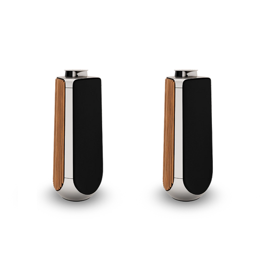 Beolab 50 /Paar / aus unserer Ausstellung " Top Zustand "