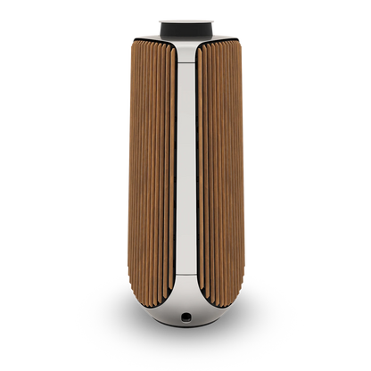 Beolab 50 /Paar / aus unserer Ausstellung " Top Zustand "