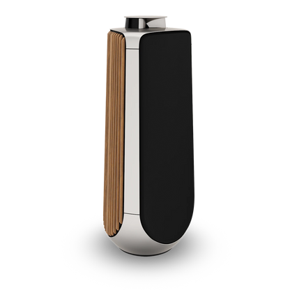 Beolab 50 /Paar / aus unserer Ausstellung " Top Zustand "