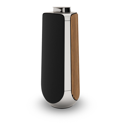 Beolab 50 /Paar / aus unserer Ausstellung " Top Zustand "