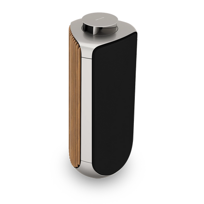 Beolab 50 /Paar / aus unserer Ausstellung " Top Zustand "