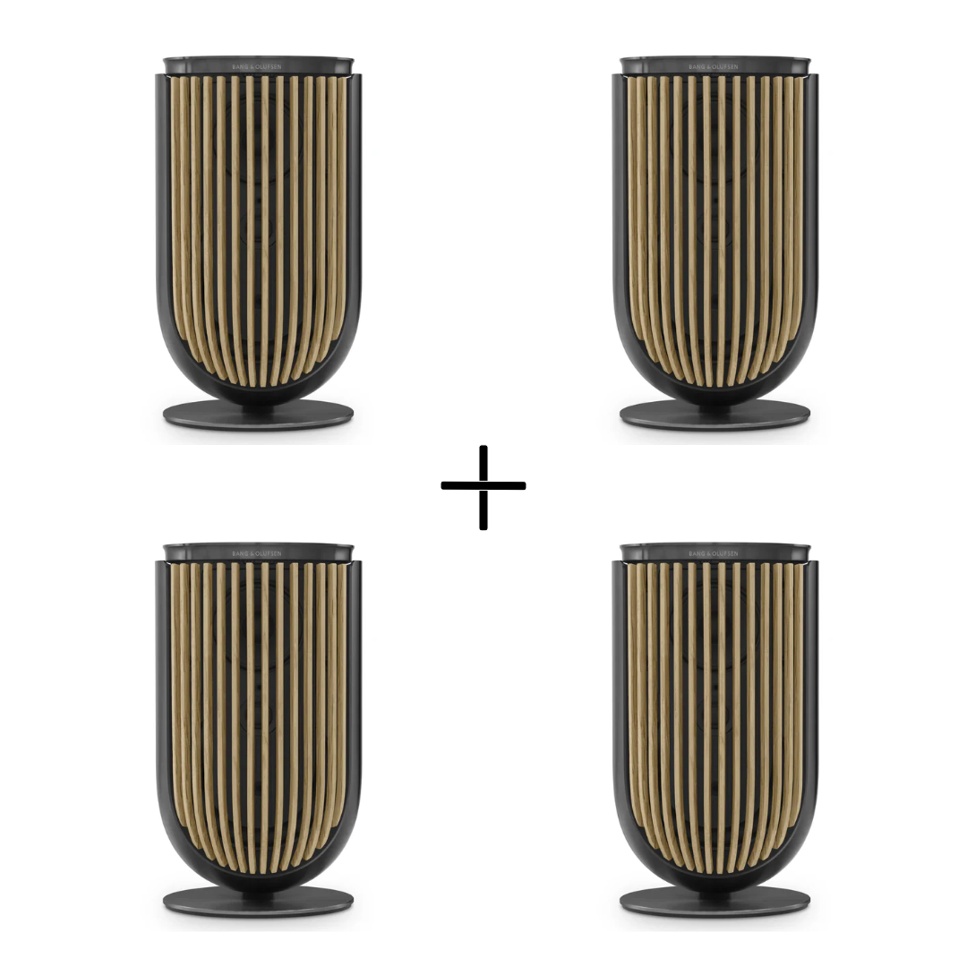 2 Paar Beolab 8 (Front und Rear)