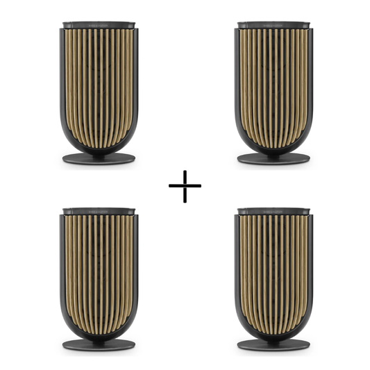 2 Paar Beolab 8 (Front und Rear)
