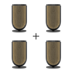 2 Paar Beolab 8 (Front und Rear)