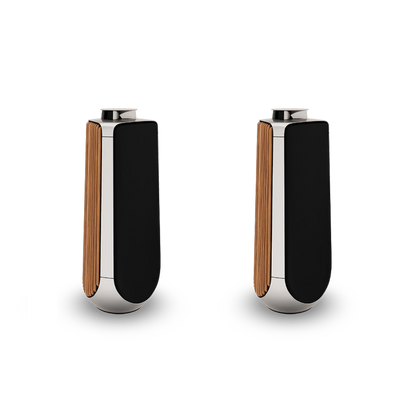 Beolab 50 /Paar / aus unserer Ausstellung " Top Zustand "